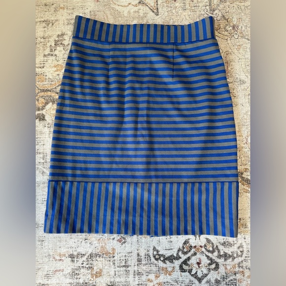 Blue and Gray Striped Skirt - Picture 1 of 5